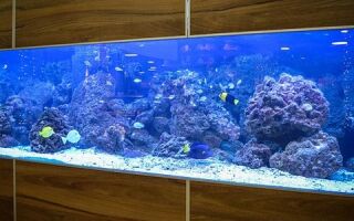 Освещаем аквариум светодиодными лампами